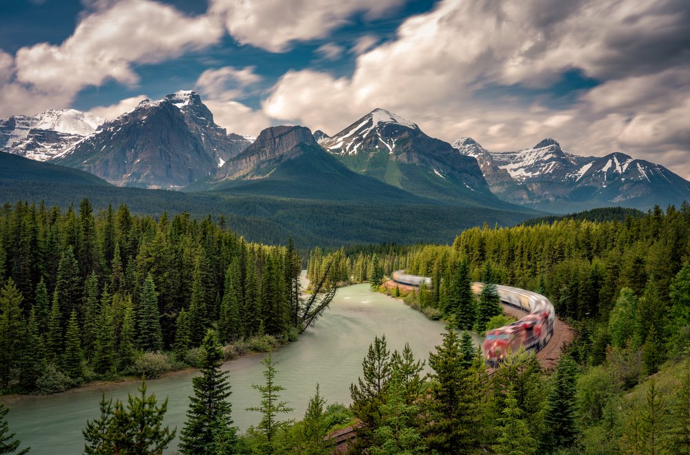 A train through the nature