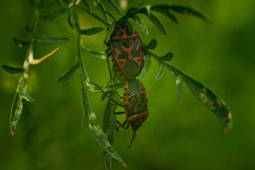 Photograph by Виктор Зотов