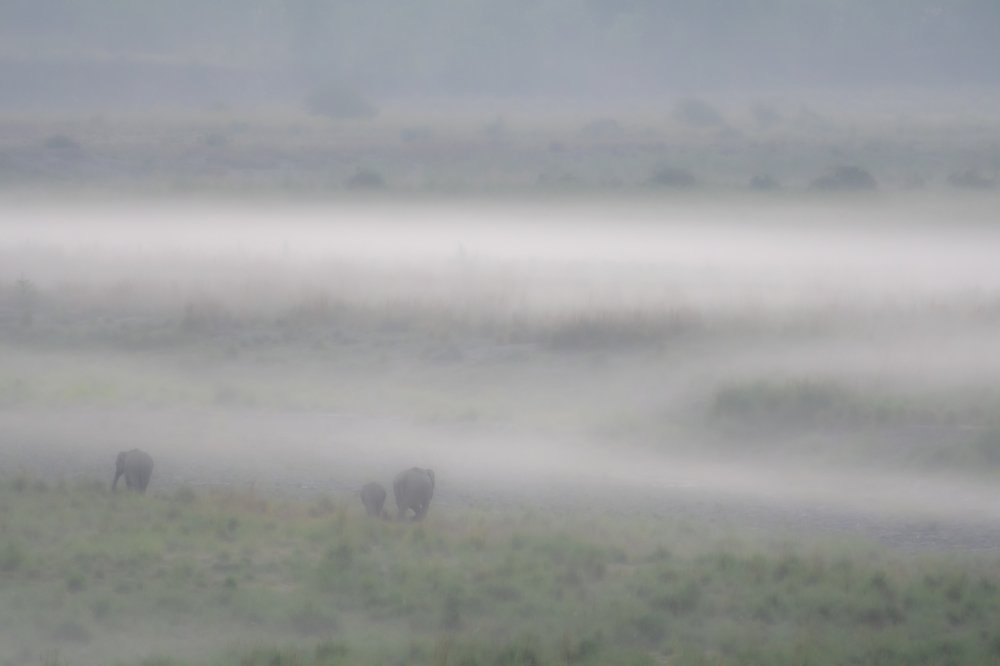 Photograph by Sandheep Pushkar