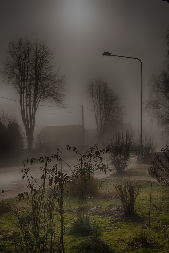 Photograph by Gaļina