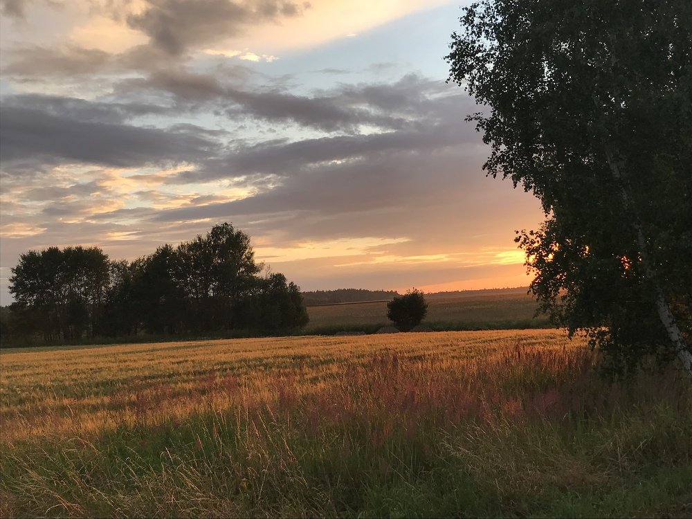 Photograph by Наталья