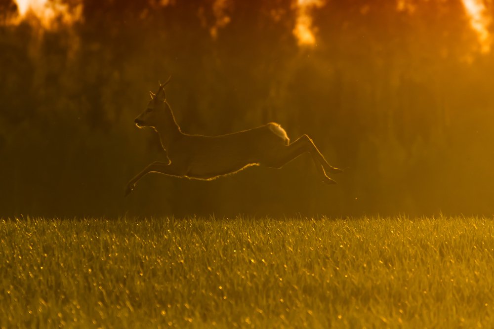 Photograph by Gaļina
