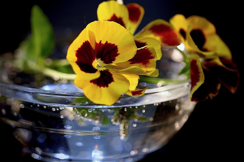 Photograph by Nataliya Mochernyuk