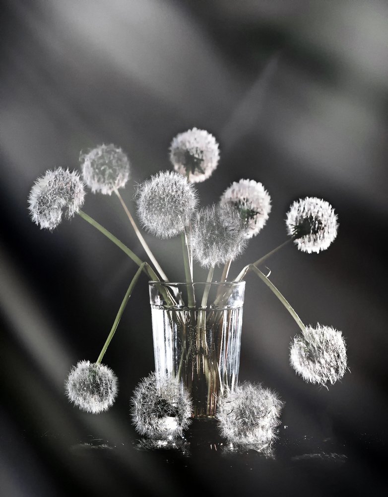 Photograph by Юрий Левко