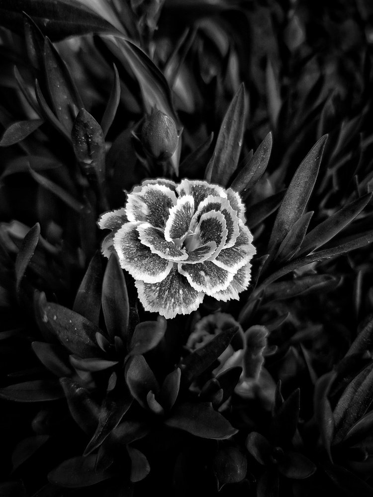 Photograph by Iгор Ситар