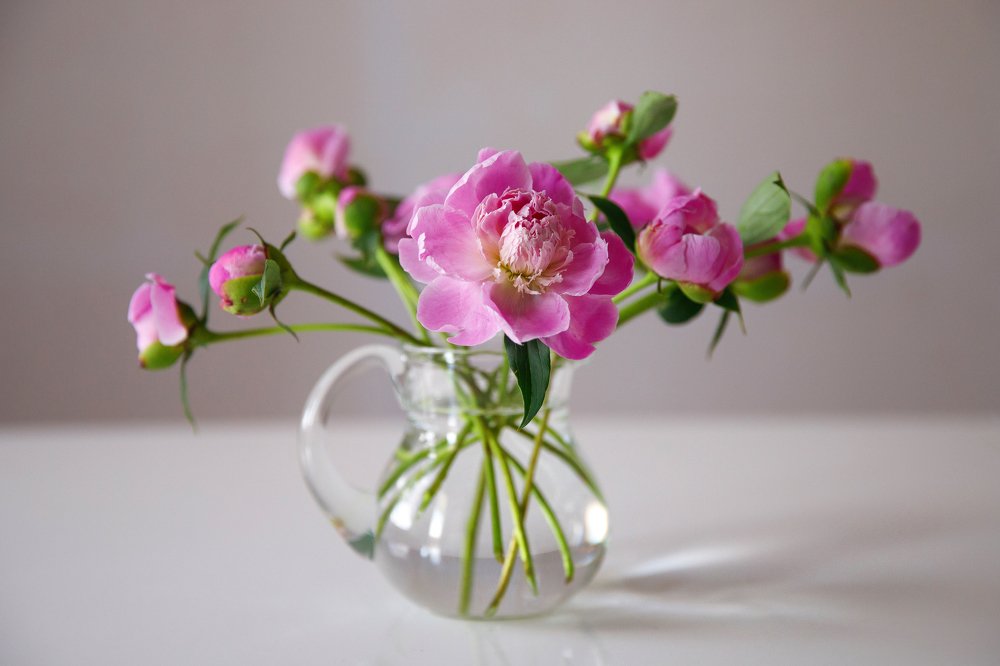 Фотография автора Гудкова Светлана