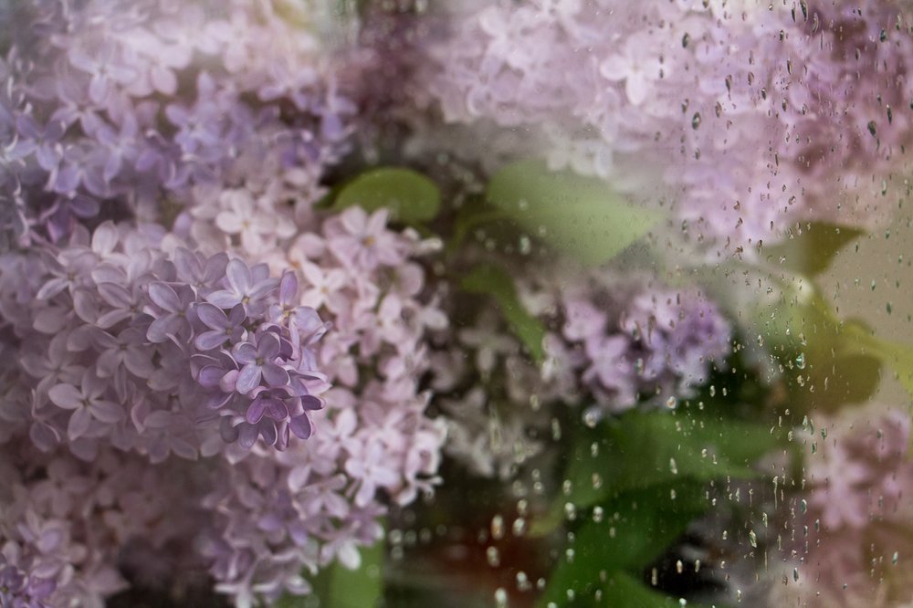 Photograph by Екатерина Андросова