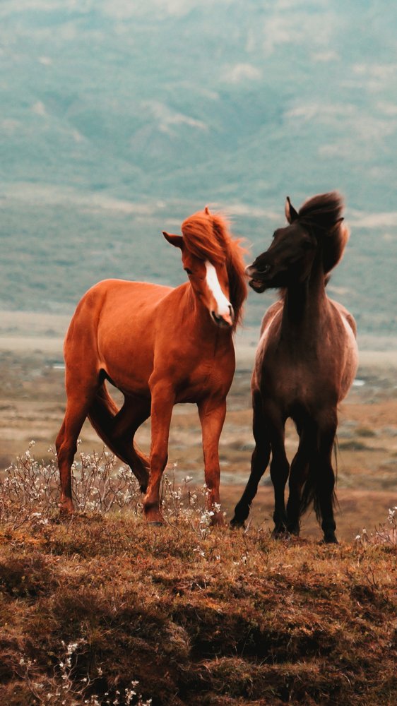 Photograph by Валерия Машкова