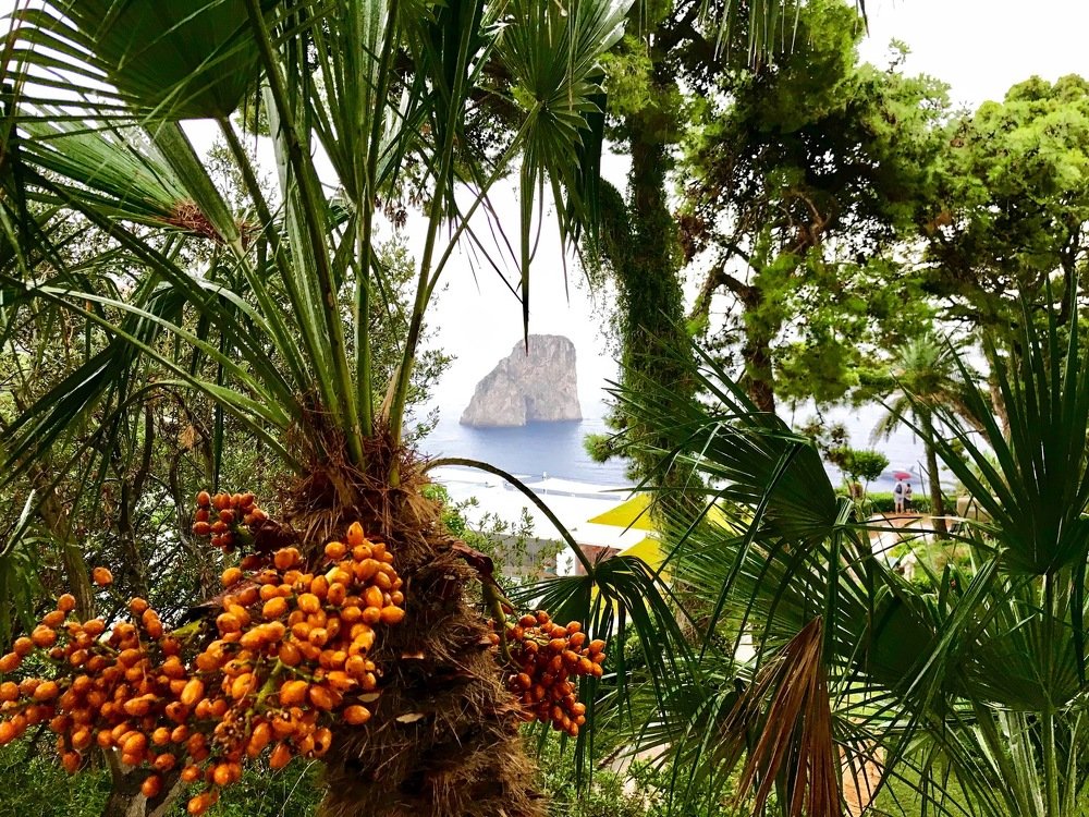 Photograph by Ирина Кропотина