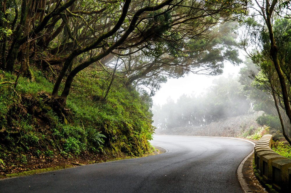 Фотография автора Гудкова Светлана