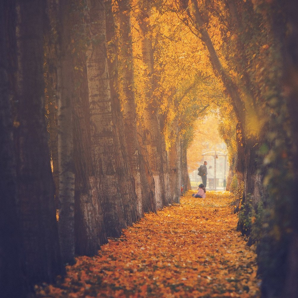 Photograph by Аркадий Саямов