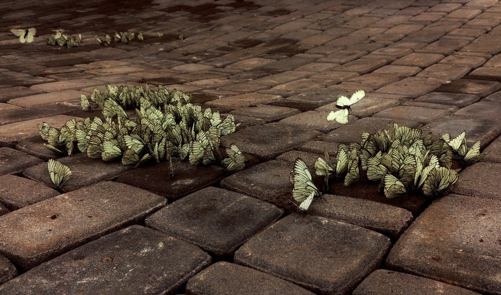 Photograph by Михаил Разумов