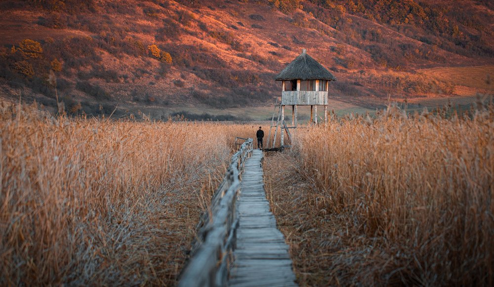 Photograph by Balog Francisc Sebastian