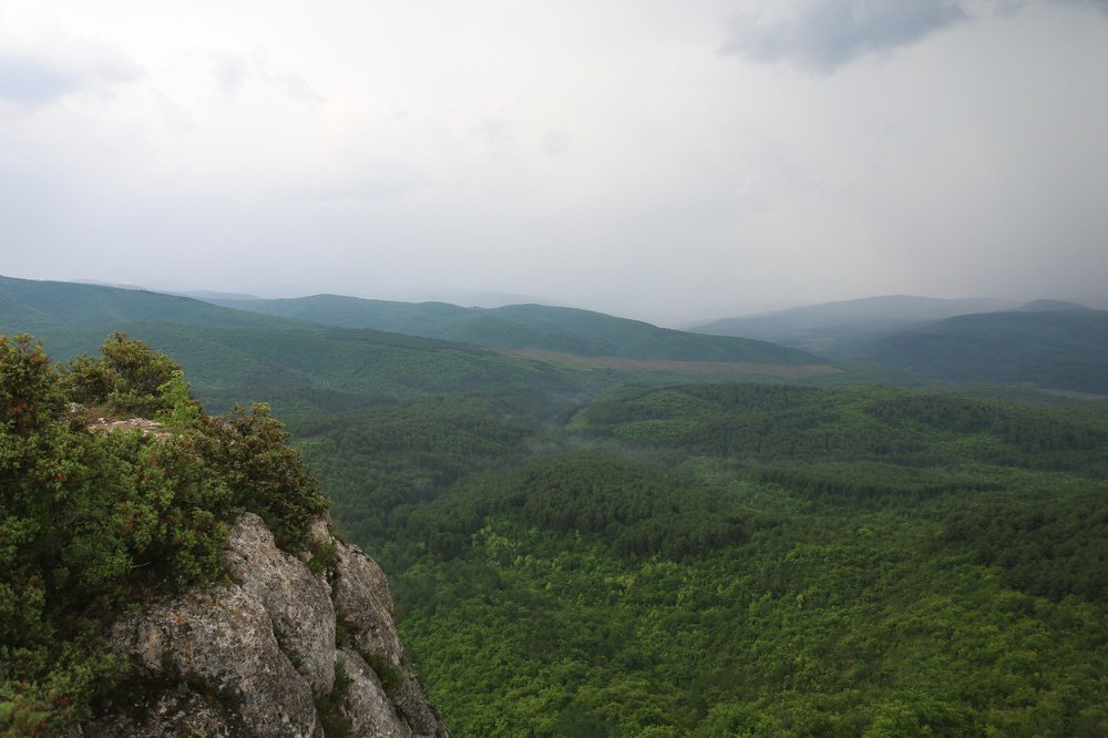 Photograph by Денис Балабанов