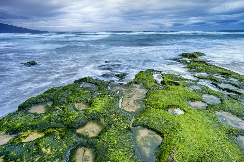 Photograph by METATLA NOUREDDINE