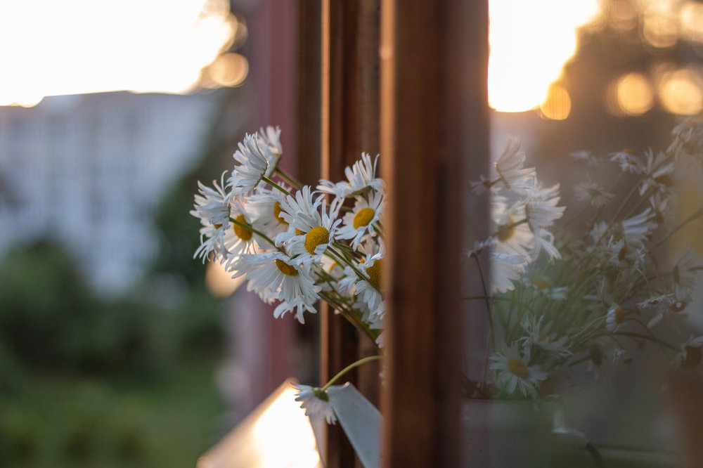 Photograph by Екатерина Андросова