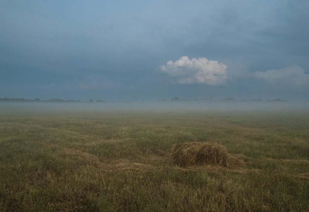 Photograph by Дмитрий Тимин