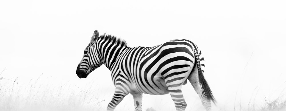 Photograph by Samuel kivevo