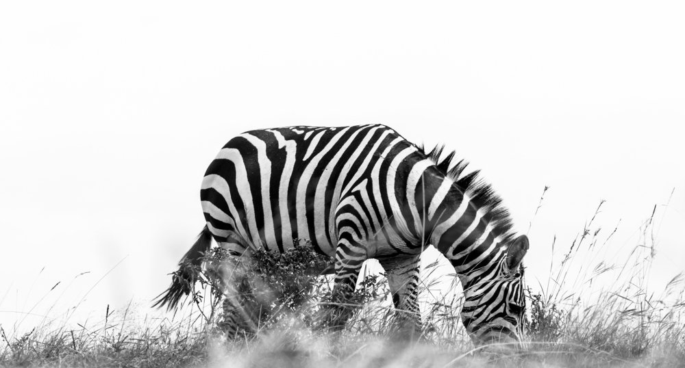 Photograph by Samuel kivevo