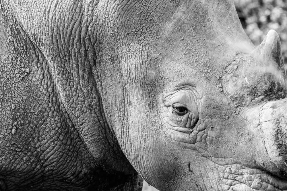 Photograph by Samuel kivevo