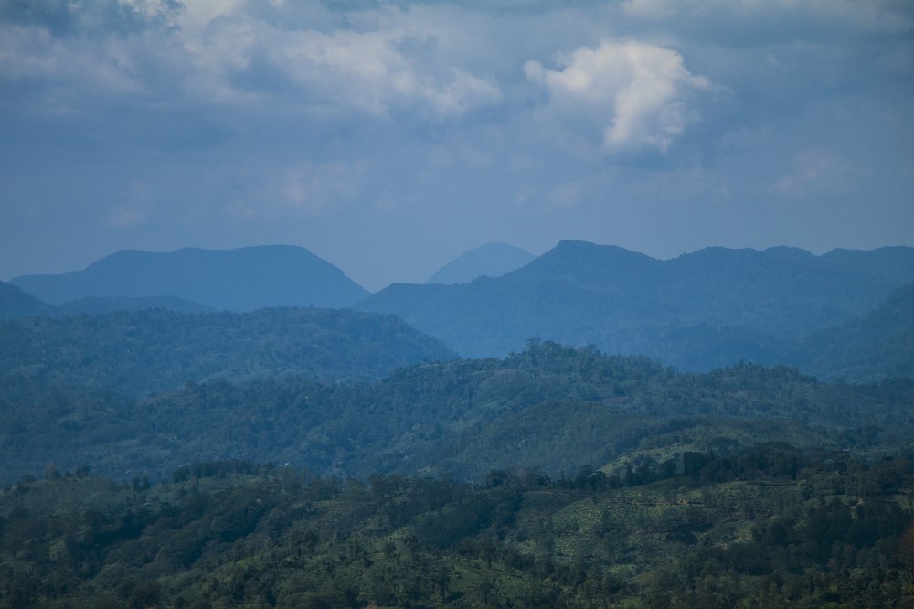 Photograph by THANUSSANTH THARMAPALAN