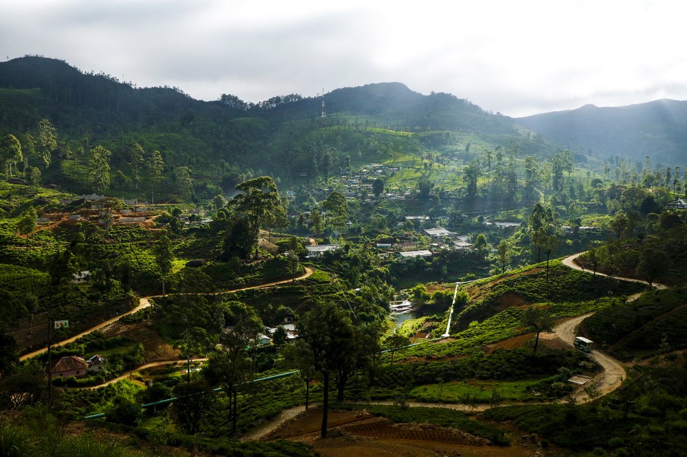 Photograph by THANUSSANTH THARMAPALAN