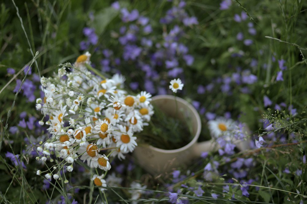 Photograph by Наталия Дударева