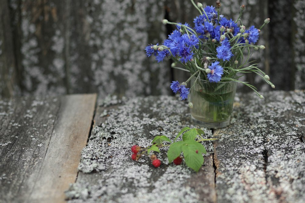 Photograph by Наталия Дударева