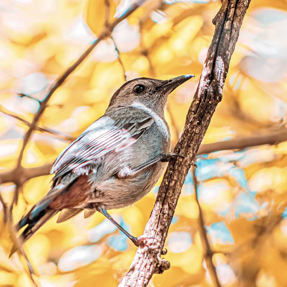 Photograph by Sharon Sabharwal