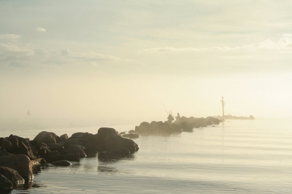 Photograph by Ирина Богатырева