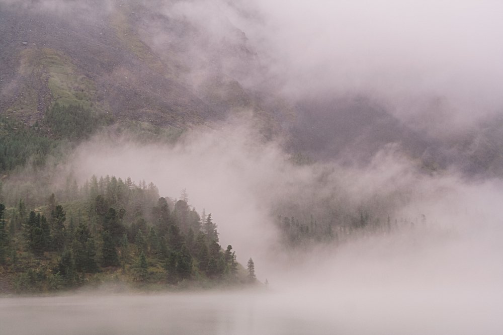 Photograph by Ирина Богатырева