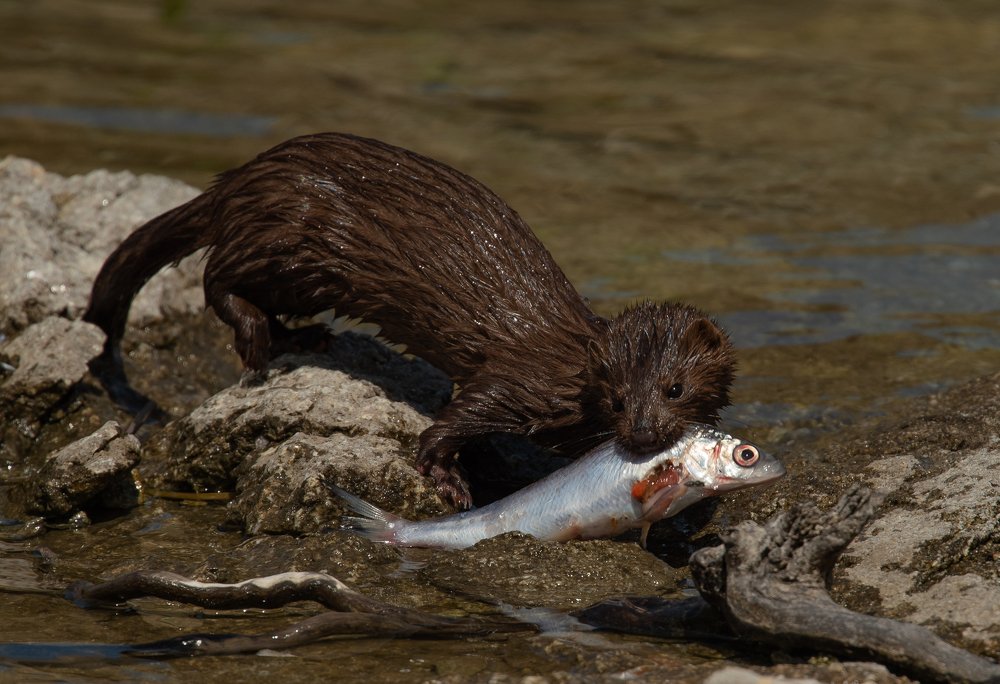 Photograph by Cветлана Будкеева