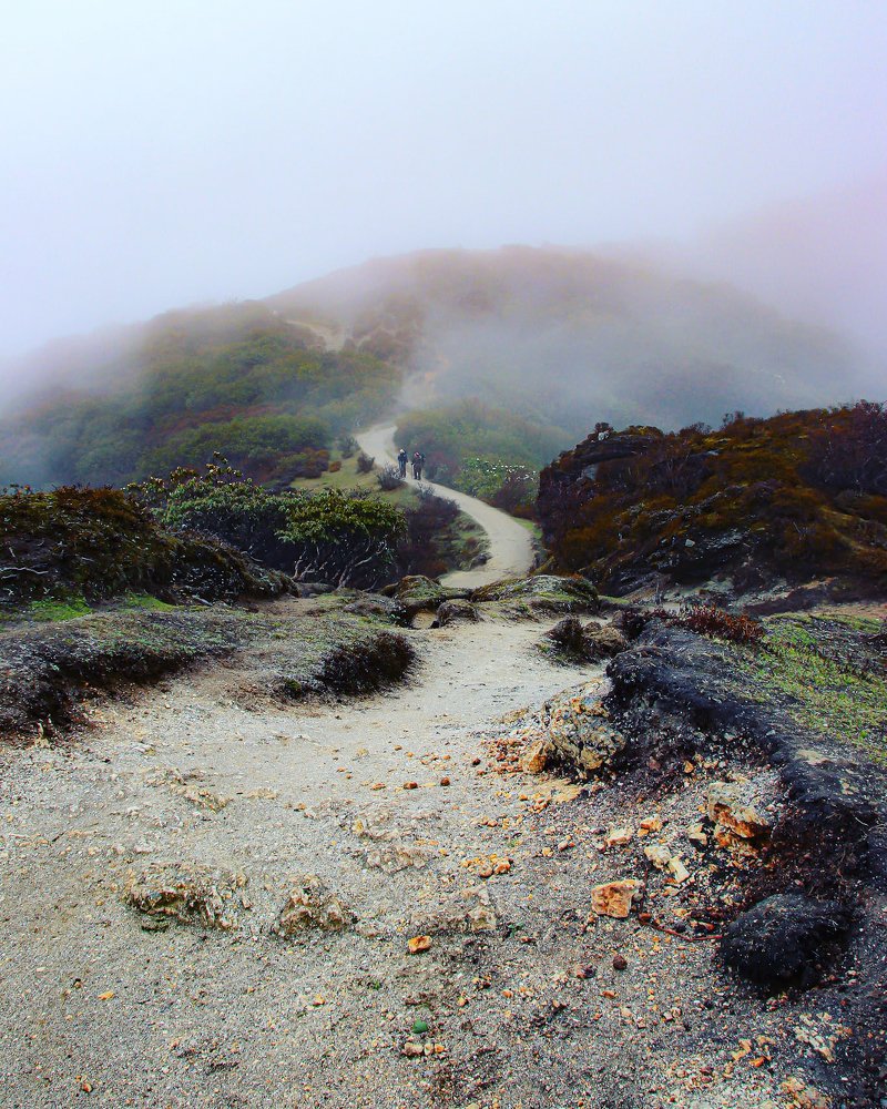 Photograph by Partho Kundu