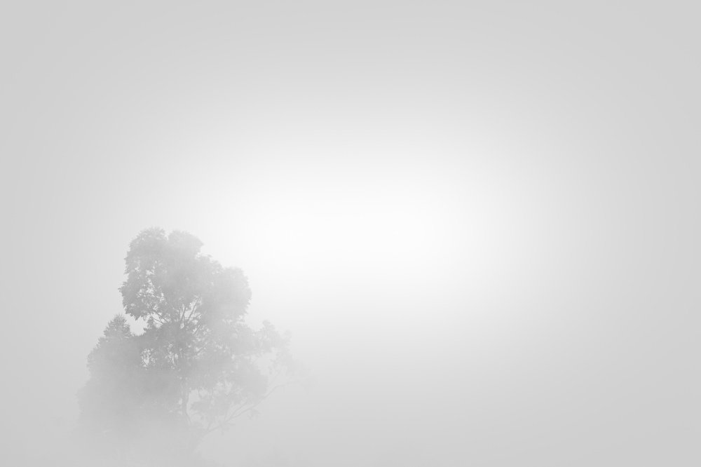 Photograph by Omar Rosette