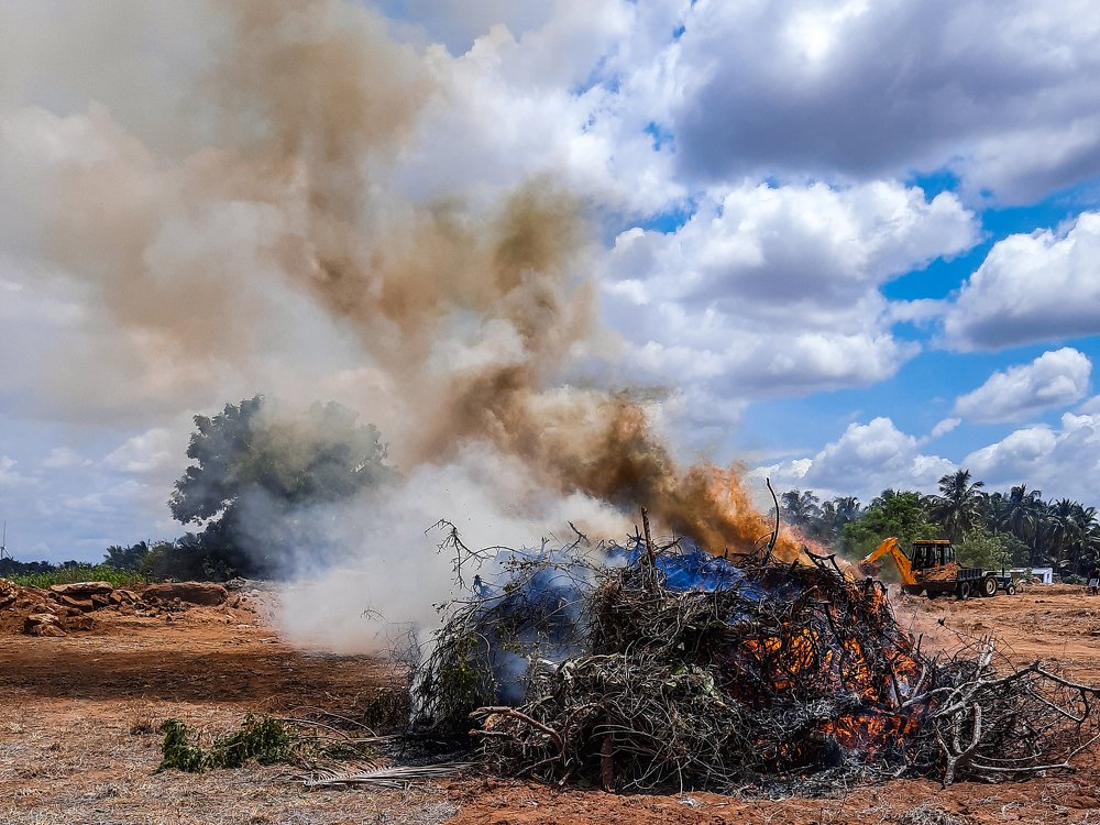 Photograph by PRABANJAN KARUPPUSAMY