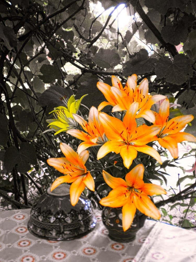 Фотография автора Роман Савоцкий