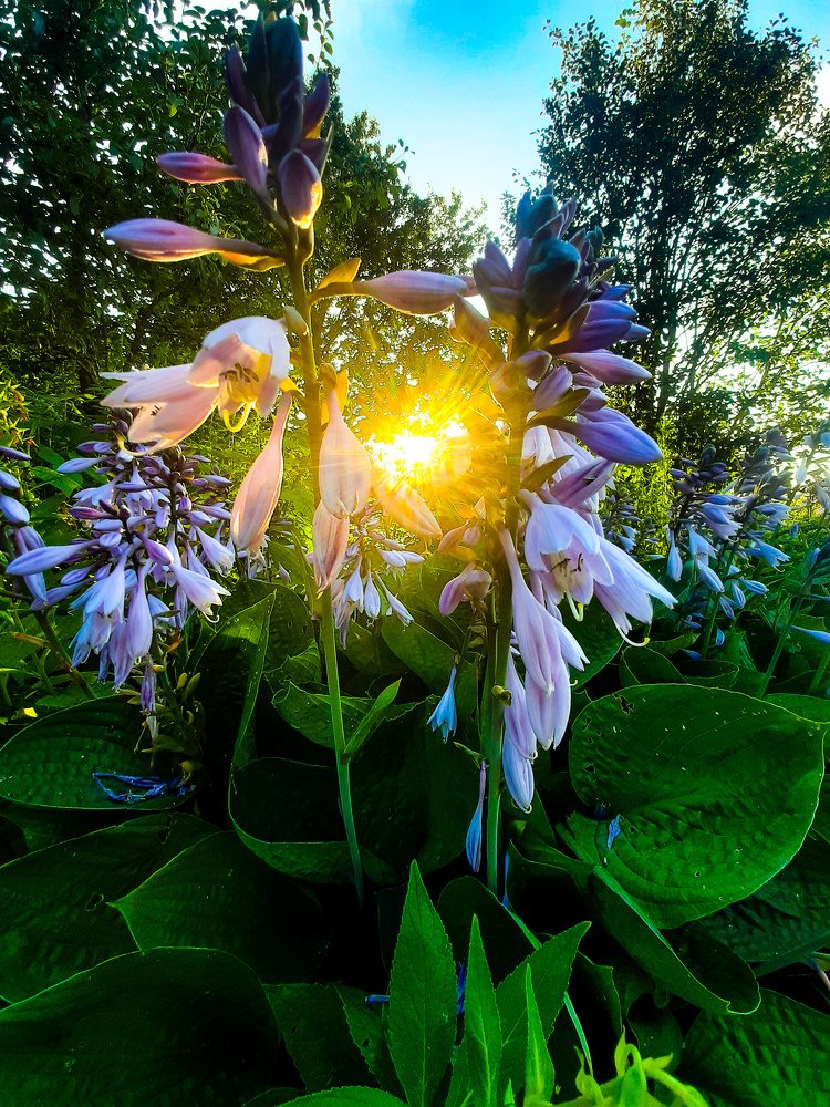 Photograph by Iljana Luksa