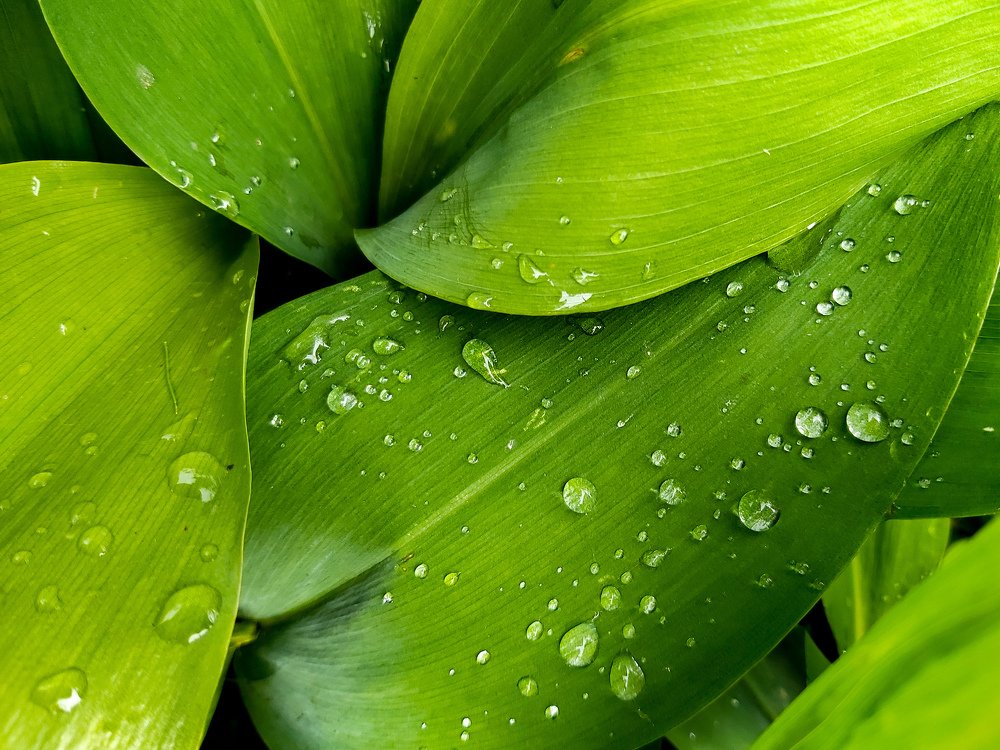 Photograph by Ксения Илюшина