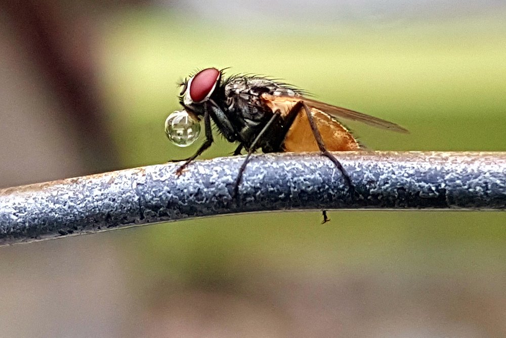 Photograph by Rishit Sheth