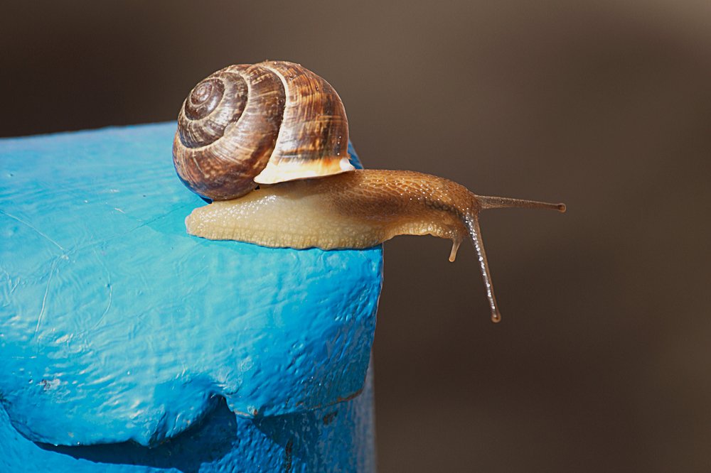 Photograph by Yroslava Veretina