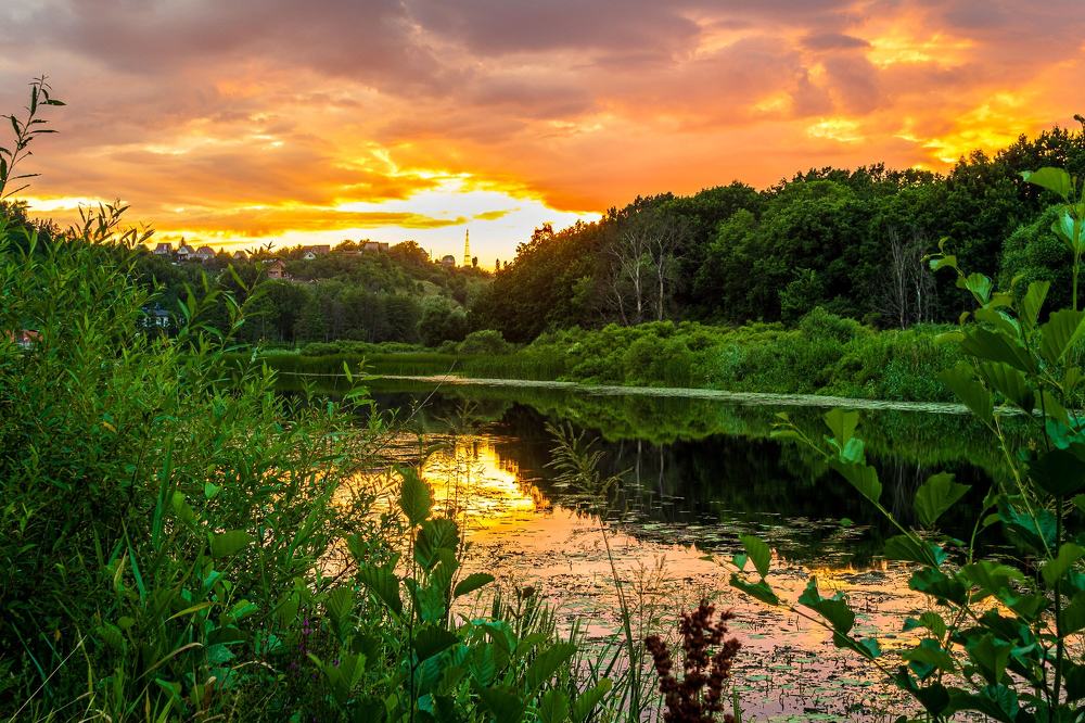 Photograph by Анатолий Чупрынин