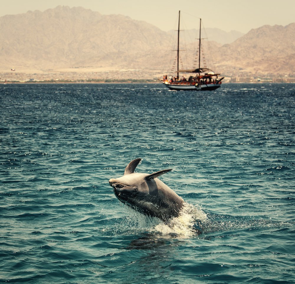 Photograph by Павел Шистко