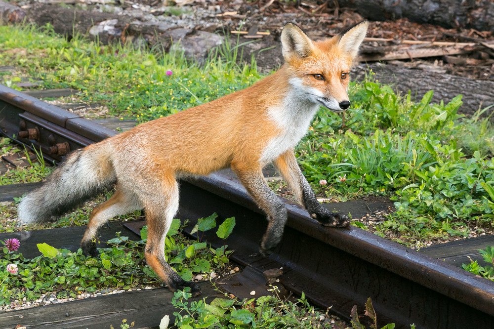 Photograph by Александр Силинский