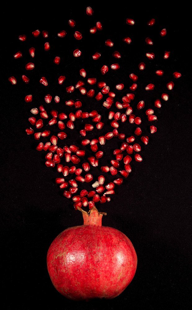 Photograph by Lidya Kohen