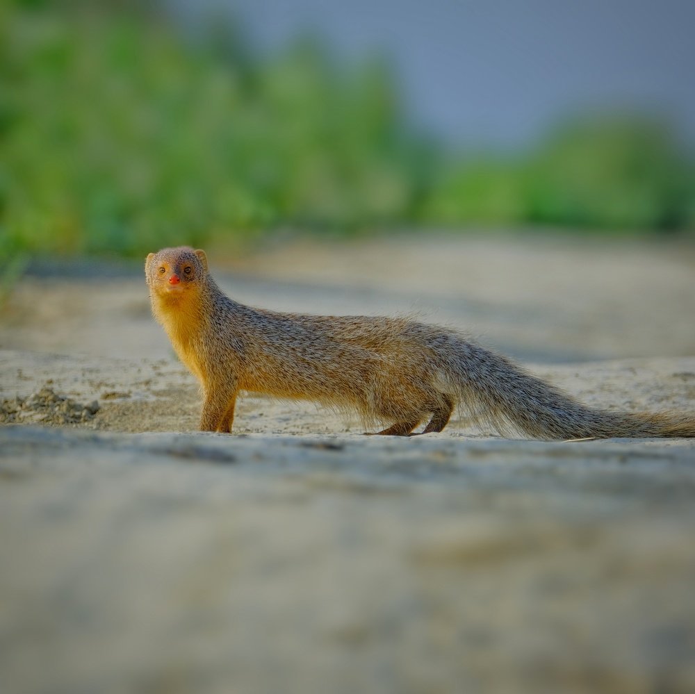 Photograph by Khalid Gurchani