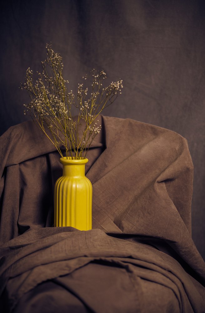 Photograph by Mehrdad Banikhalaf