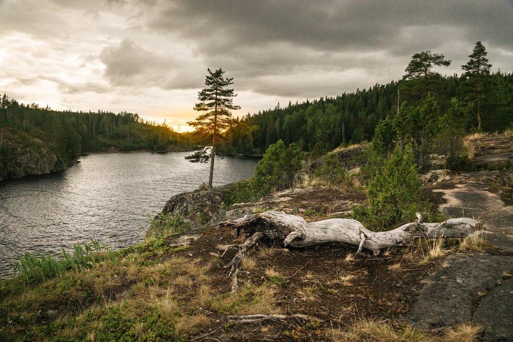 Photograph by Татьяна Сафрошкина