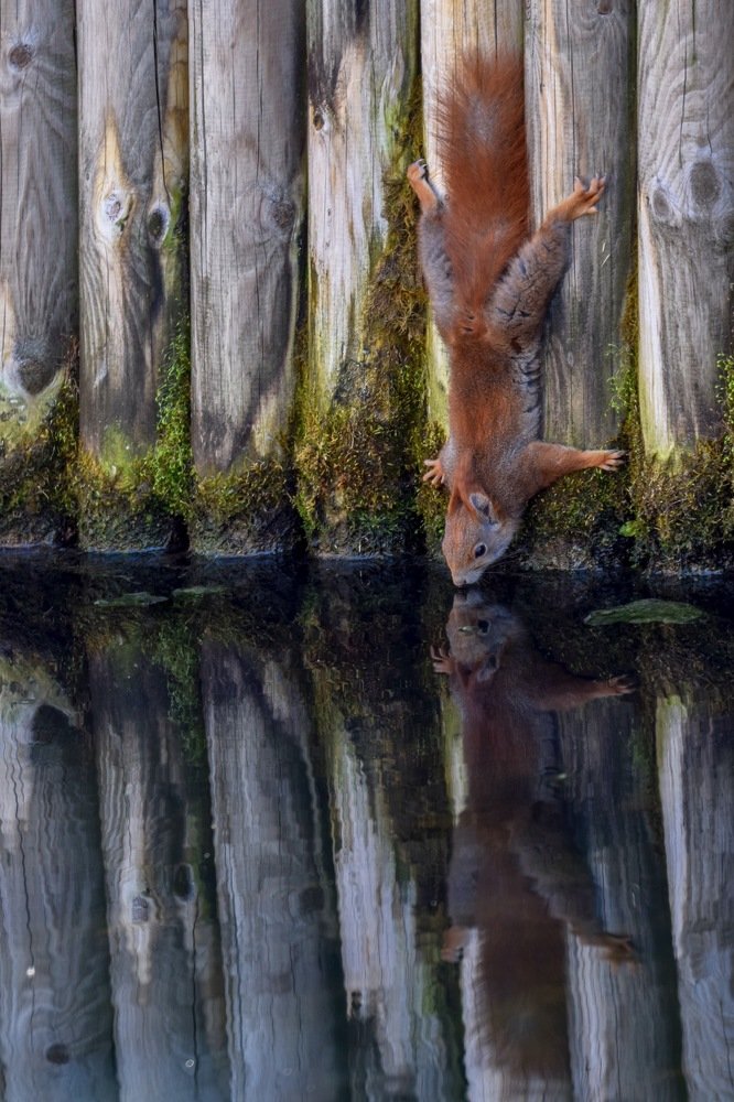 Photograph by Giulia Angelica Vicenzino