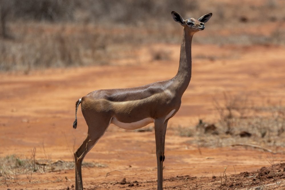 Photograph by Giulia Angelica Vicenzino