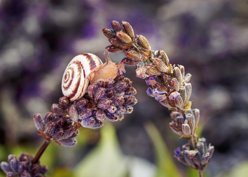 Photograph by Светлана Воробьева